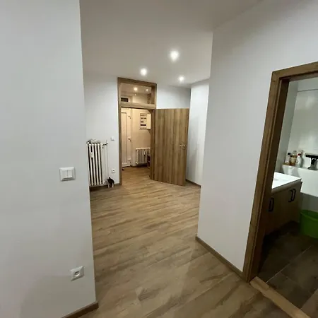 Apartment V Holici *
