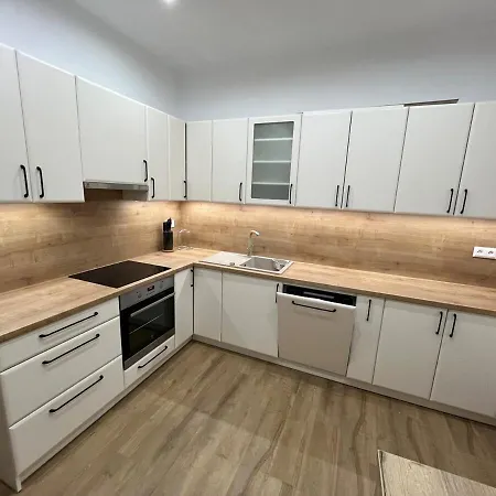 V Holici Apartment Skalica