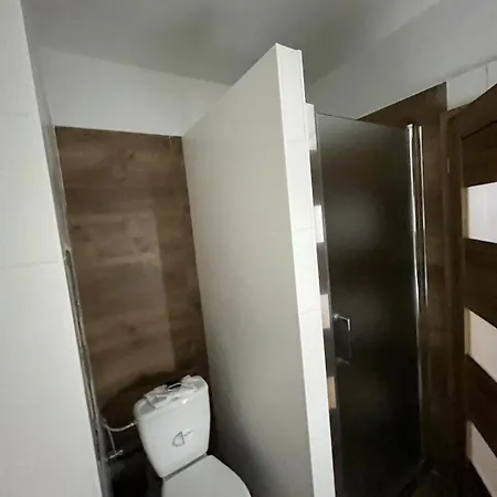 V Holici Apartment